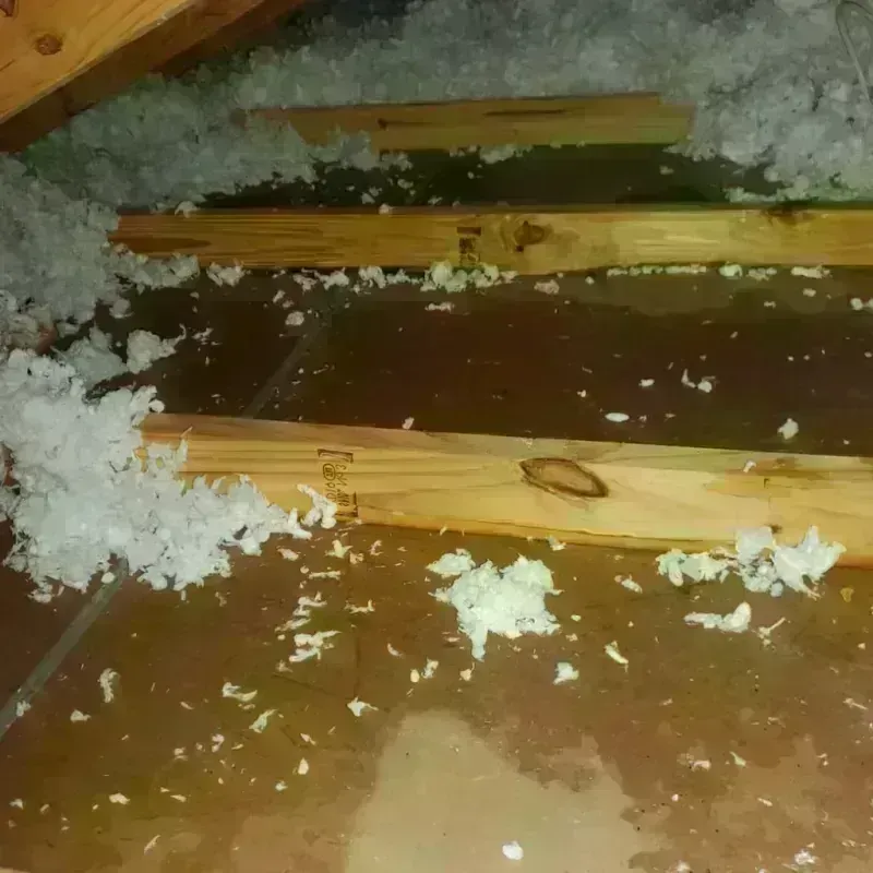 Attic Water Damage in Millersville, TN